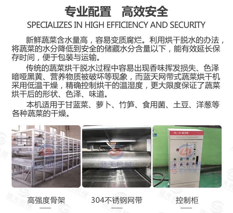 蔬菜網帶烘干機專業配置