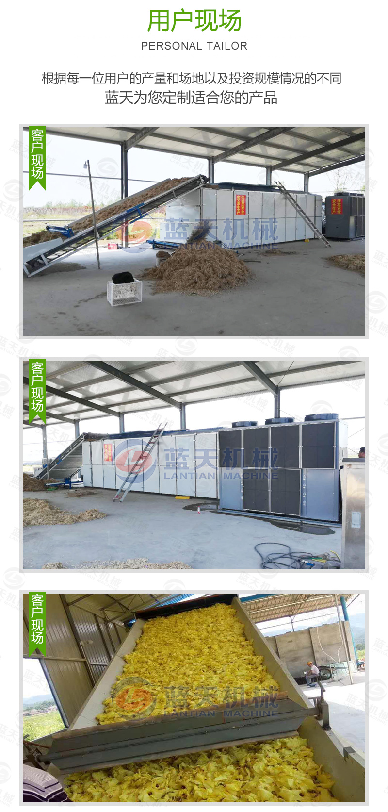 蔬菜網帶烘干機用戶現場