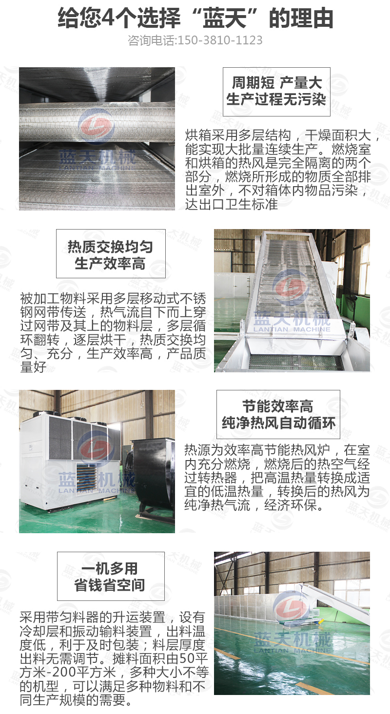 辣椒網帶烘干機選擇藍天