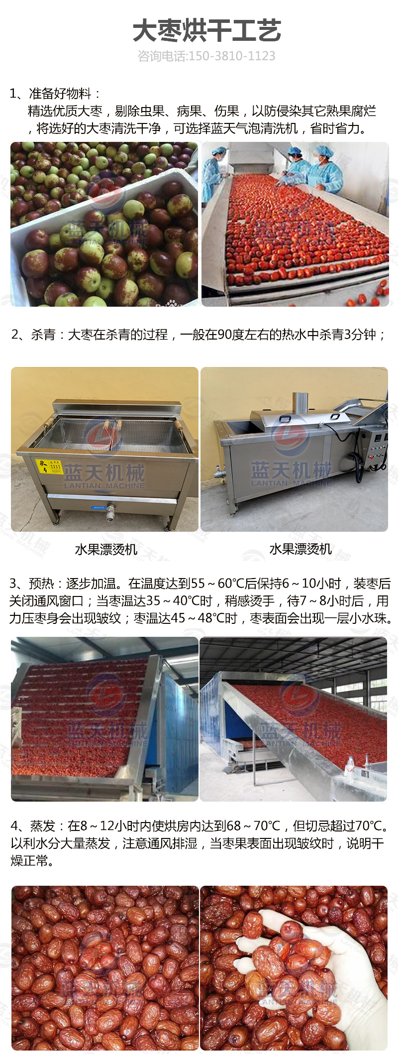 大棗網(wǎng)帶烘干機烘干工藝