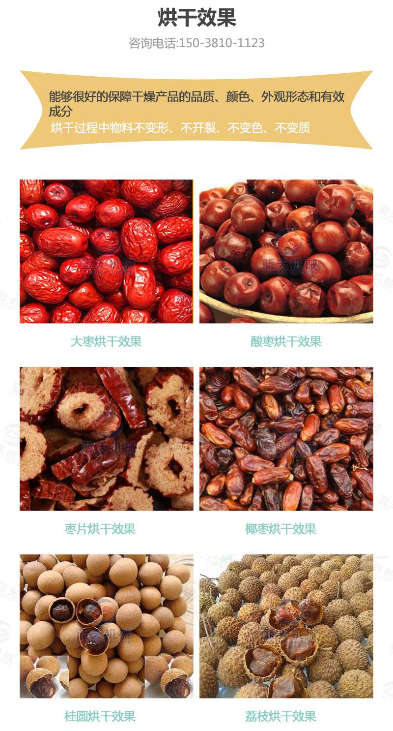 大棗網(wǎng)帶烘干機烘干效果