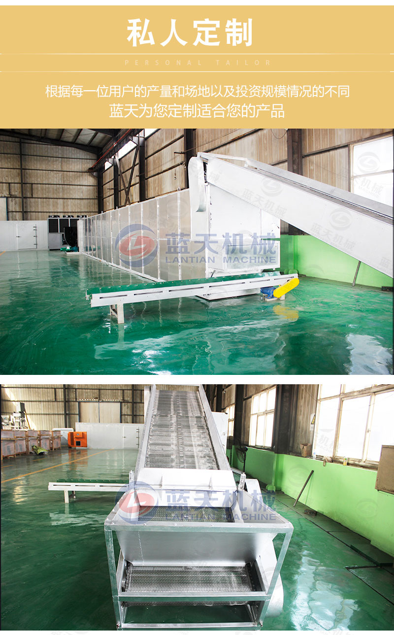 大棗網(wǎng)帶烘干機私人定制