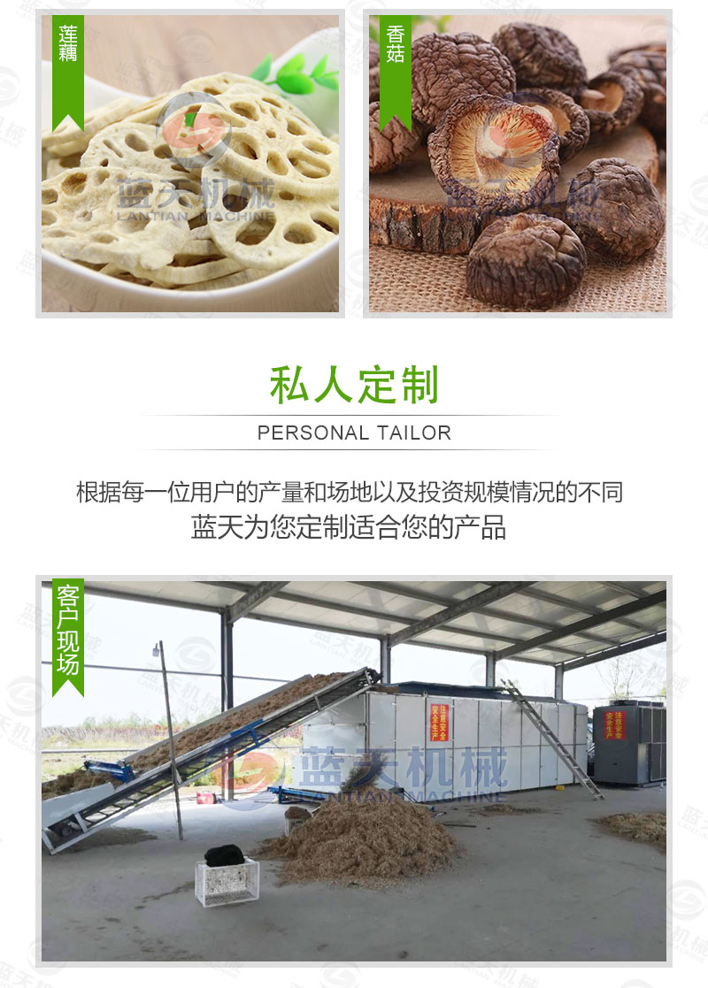 花生網帶式烘干機私人定制