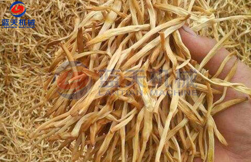 黃花菜烘干工藝