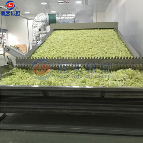 河南蔬菜網(wǎng)帶烘干機(jī)客戶現(xiàn)場