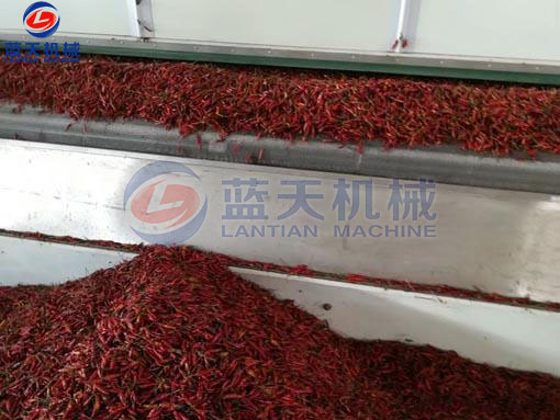 湖南辣椒網(wǎng)帶烘干機(jī)客戶現(xiàn)場