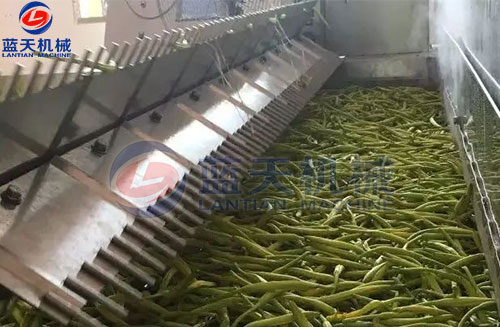 山西黃花菜網(wǎng)帶烘干機(jī)客戶現(xiàn)場(chǎng)