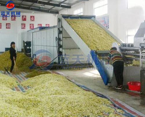 菊花網帶式烘干機客戶現場