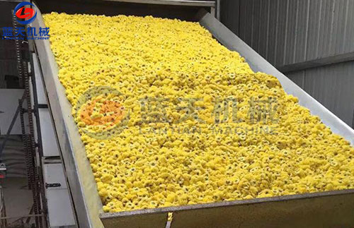 菊花網帶式烘干機客戶現場